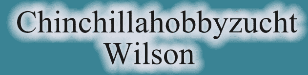 Chinchillahobbyzuchtwilson  Link Banner